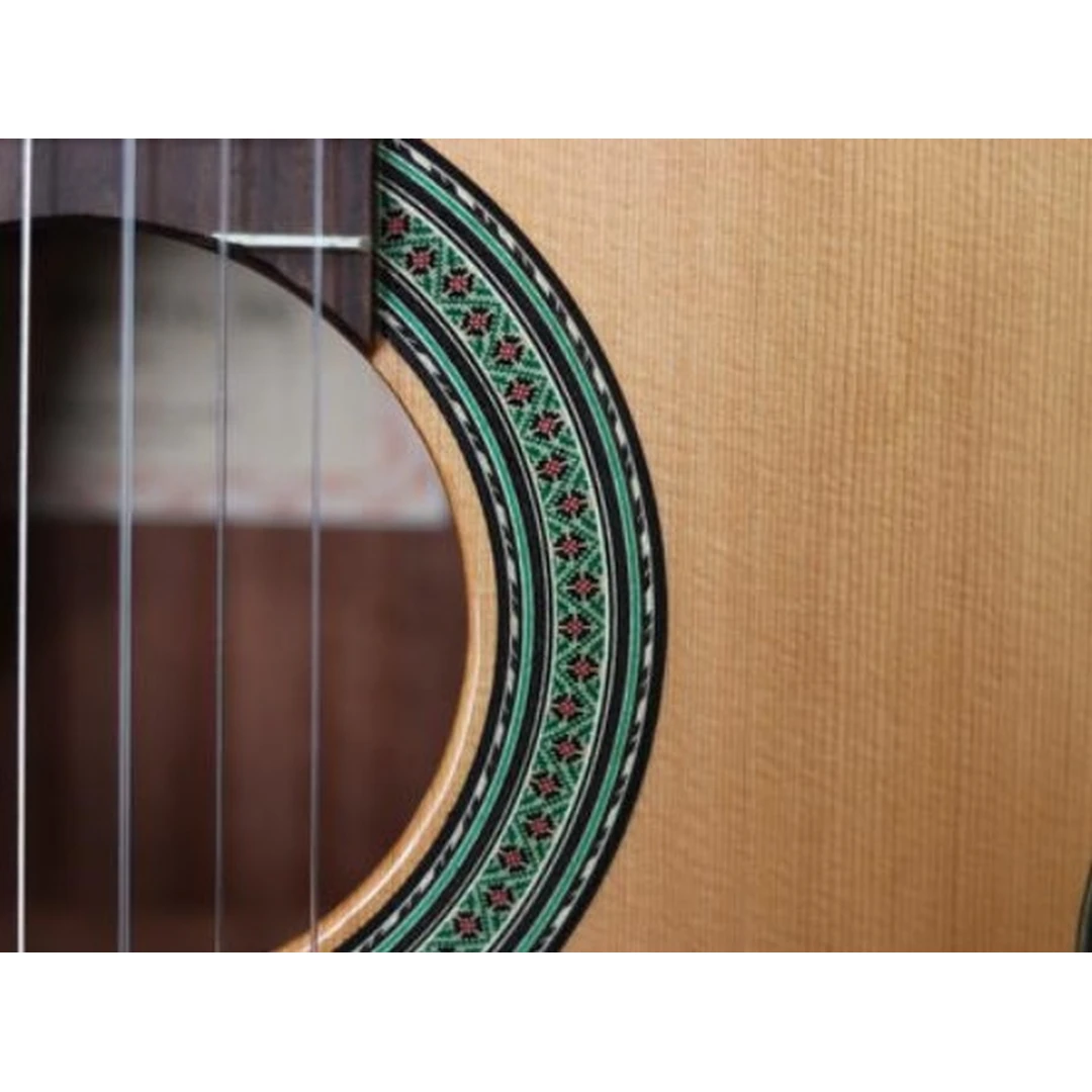 Классическая гитара Prodipe Recital 300