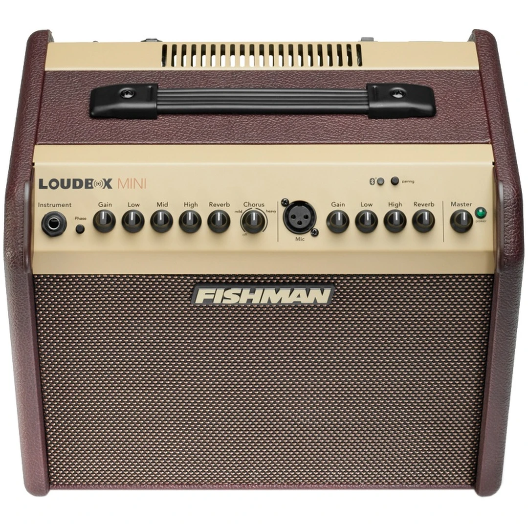 Комбоусилитель Fishman PRO-LBT-EU5 Loudbox Mini