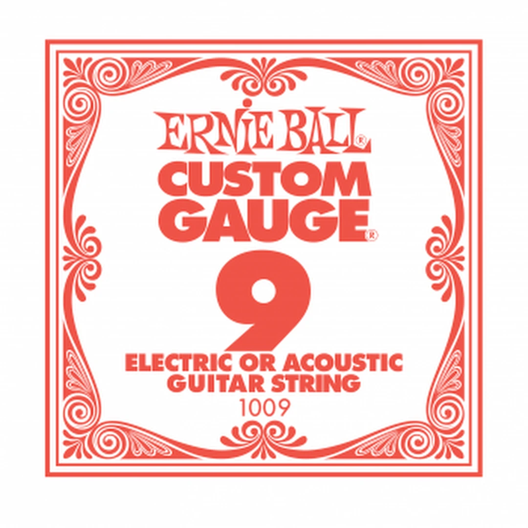 Струна для электрогитары Ernie Ball 1009