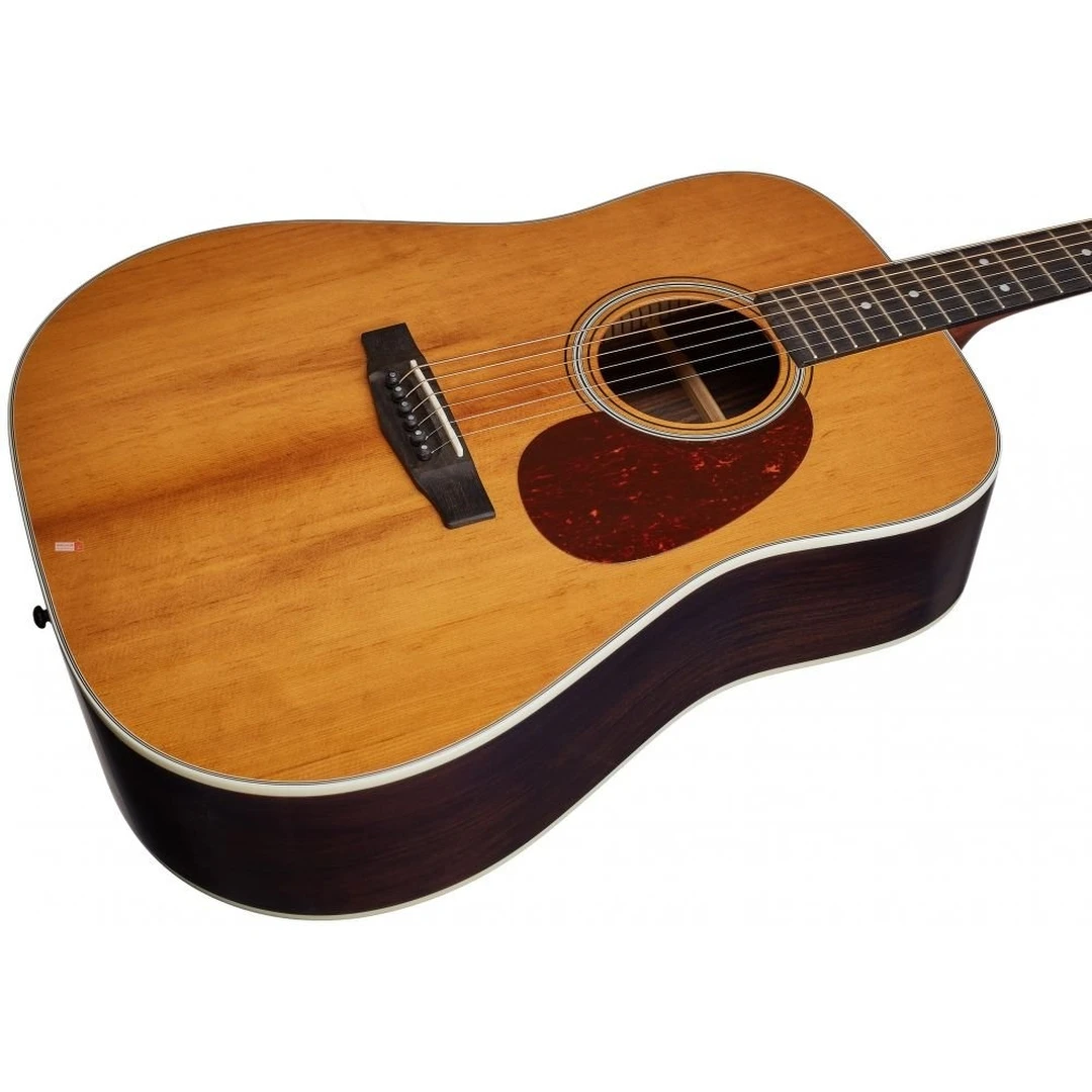 Акустическая гитара Cort Earth 200ATV SG