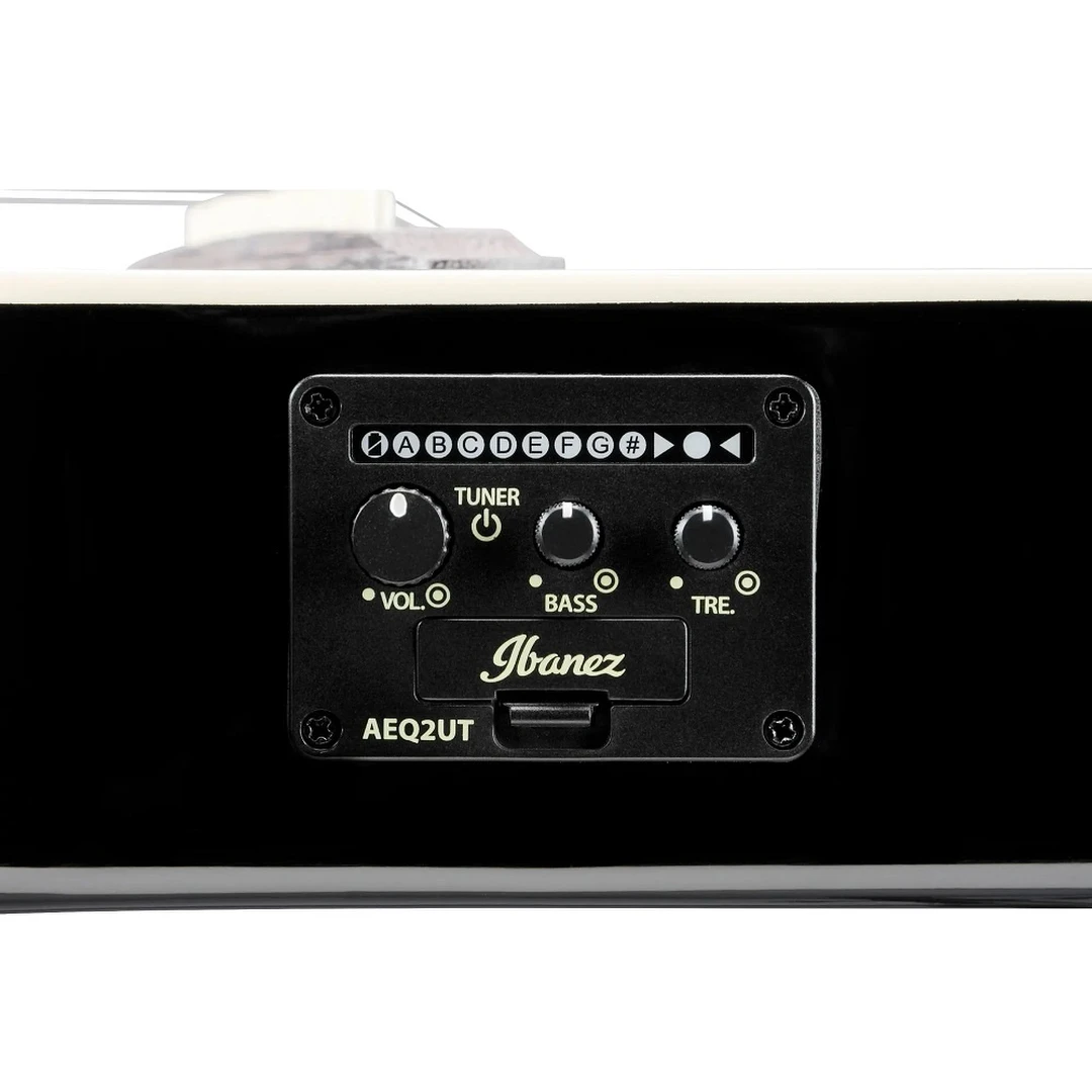 Укулеле Ibanez UICT100-MGS