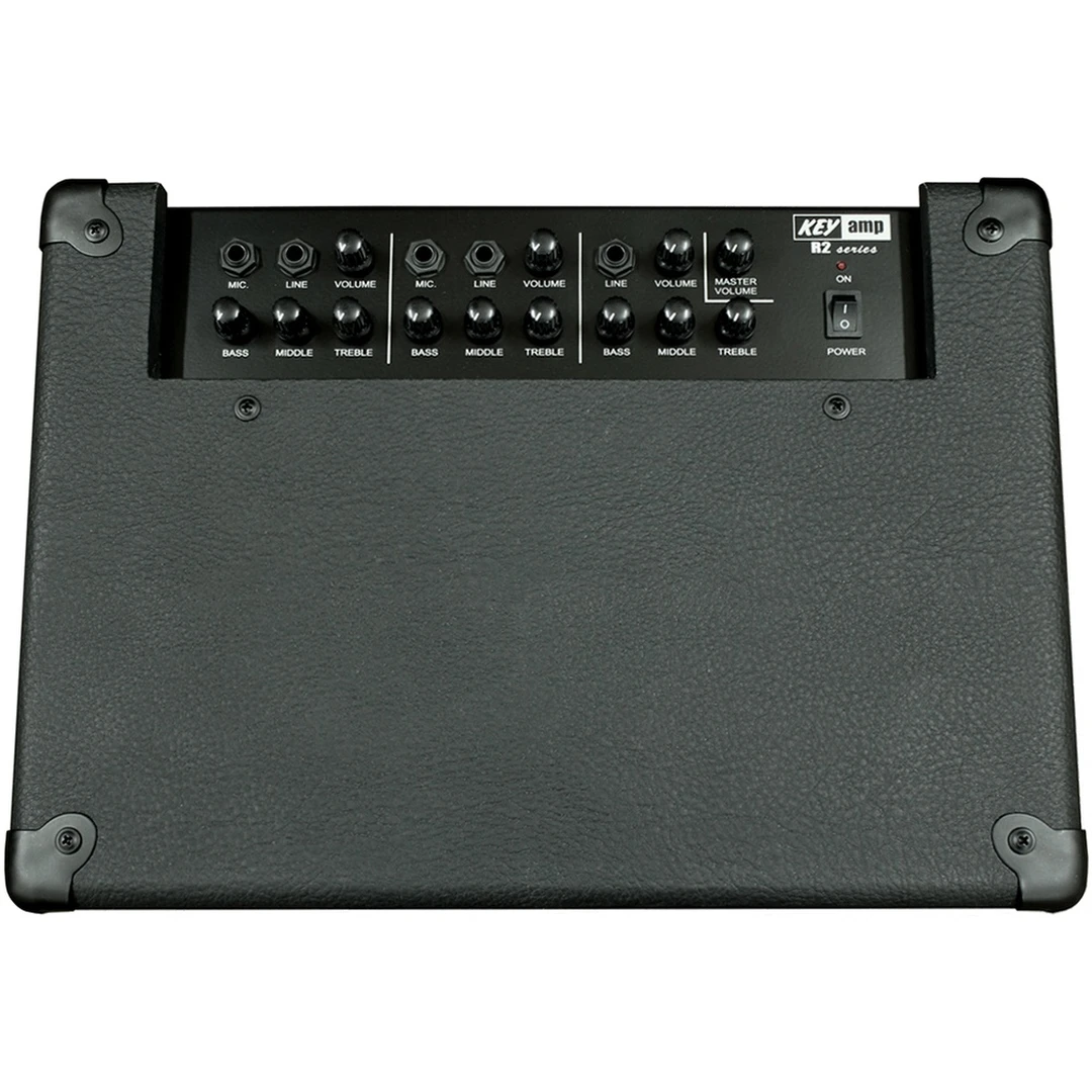 Комбоусилитель Yerasov KEYamp R2