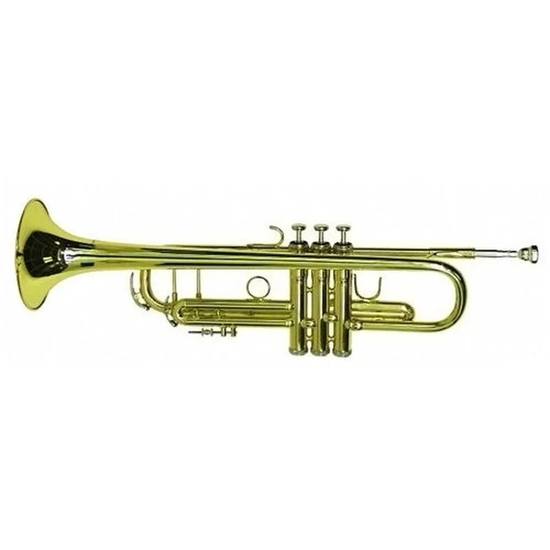 Труба Dimavery TP-20