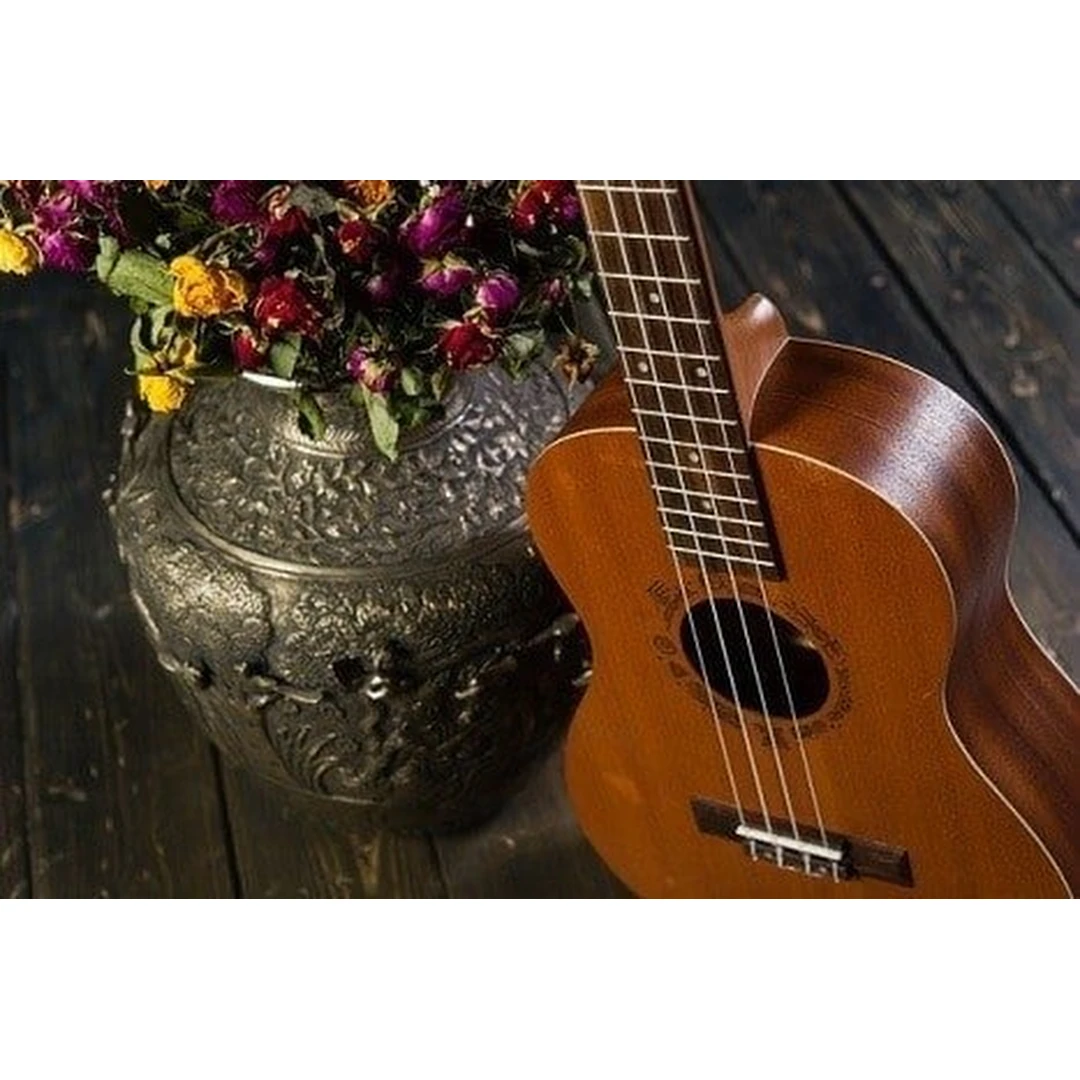 Укулеле Flight NUB 310