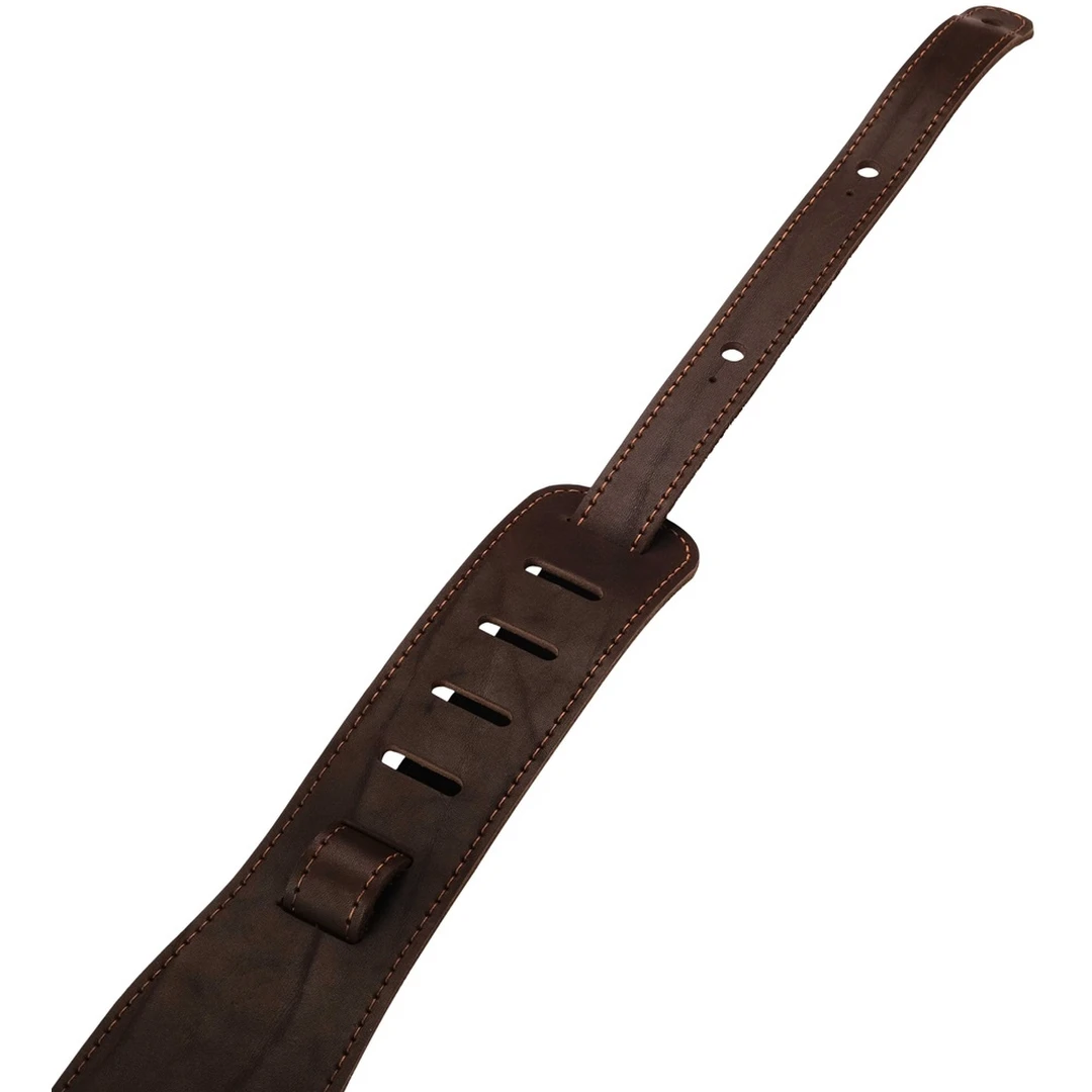 Ремень для гитары LionStraps LS.U.003