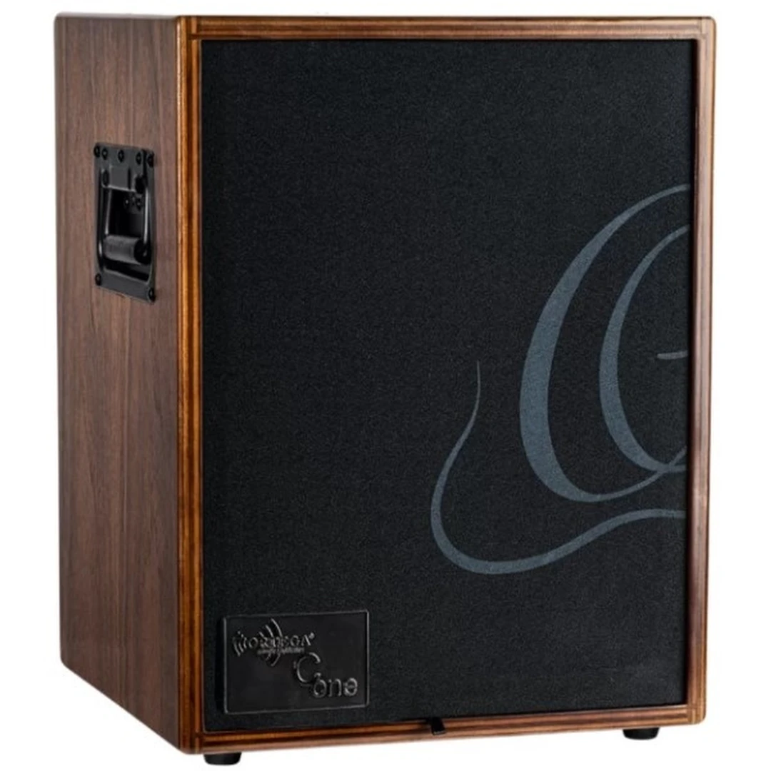 Комбоусилитель Ortega CONE-WND C One