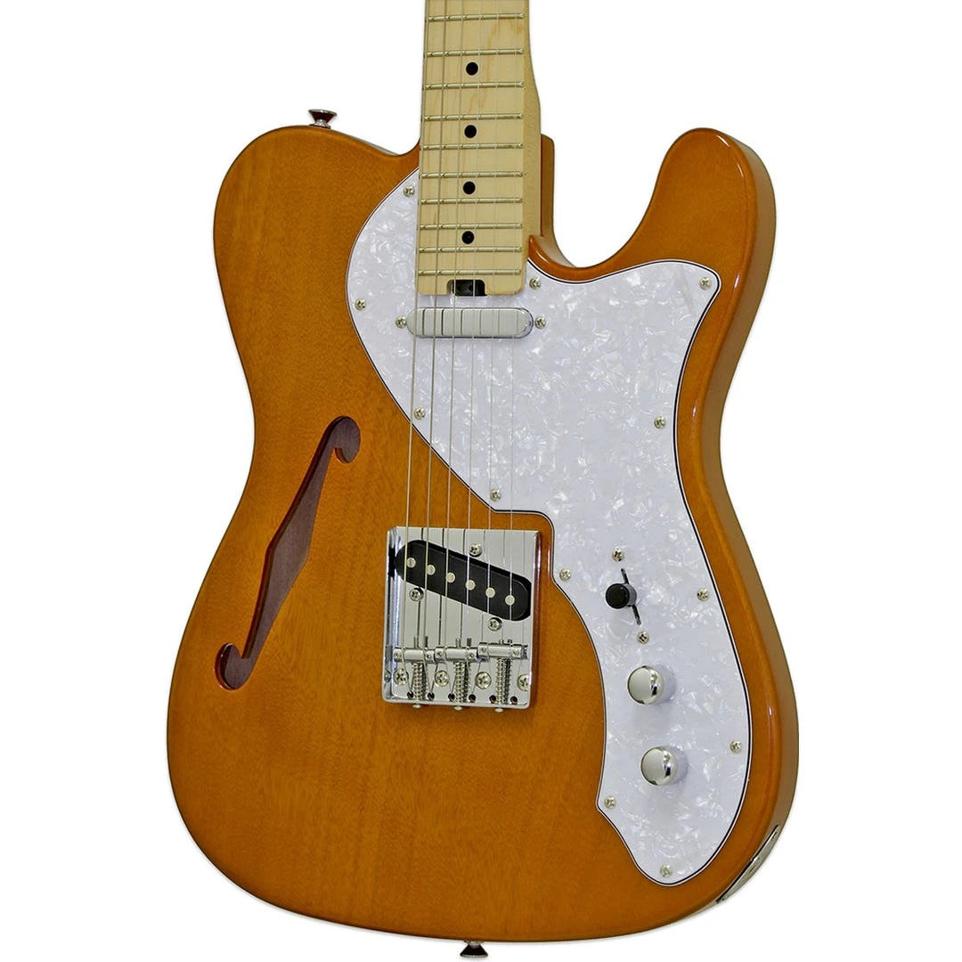 Полуакустическая гитара Aria PRO II TEG-TL N