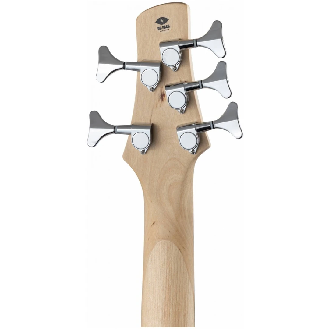 Бас-гитара Terris THB-15-5 BK