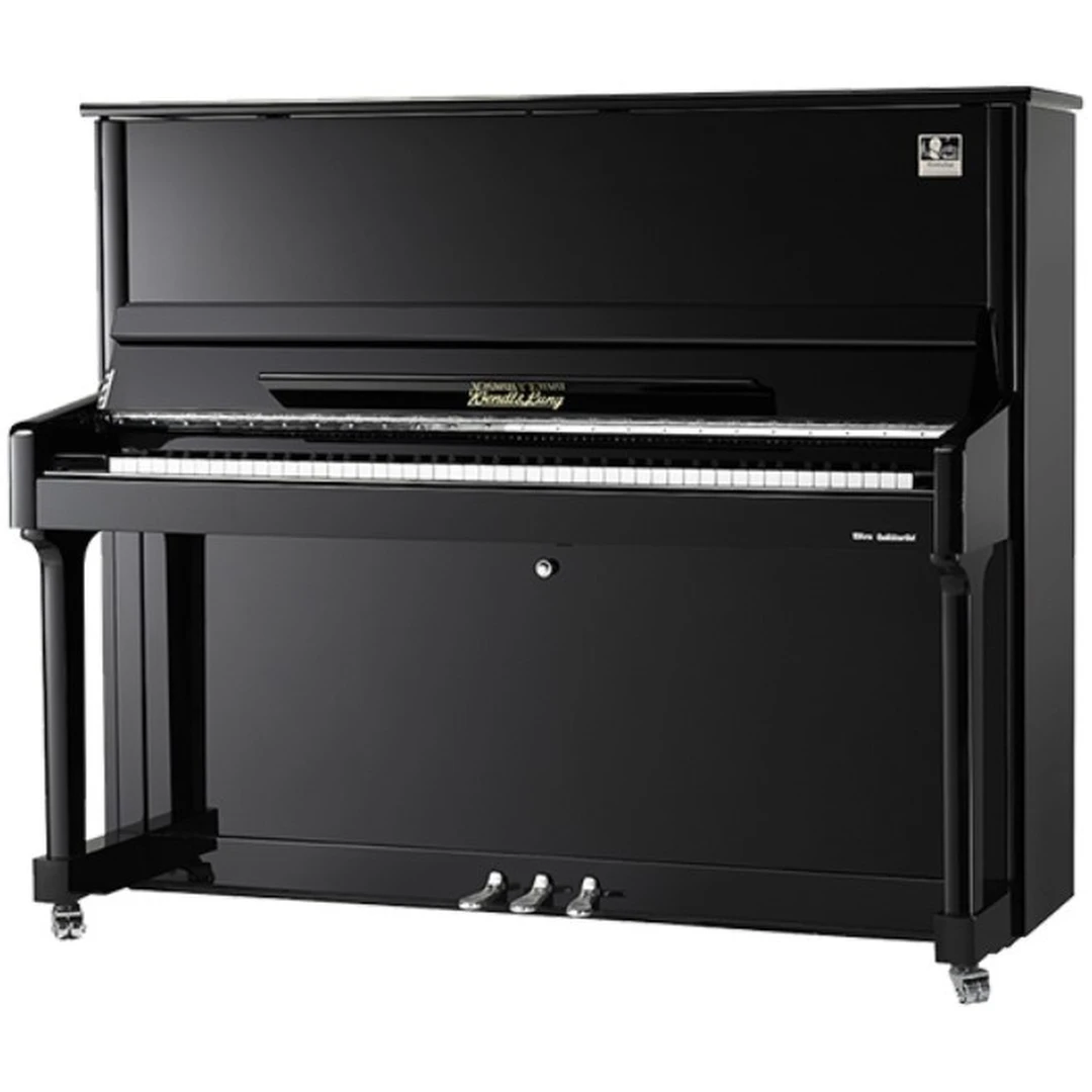 Акустическое пианино Wendl&amp;Lung W123BL