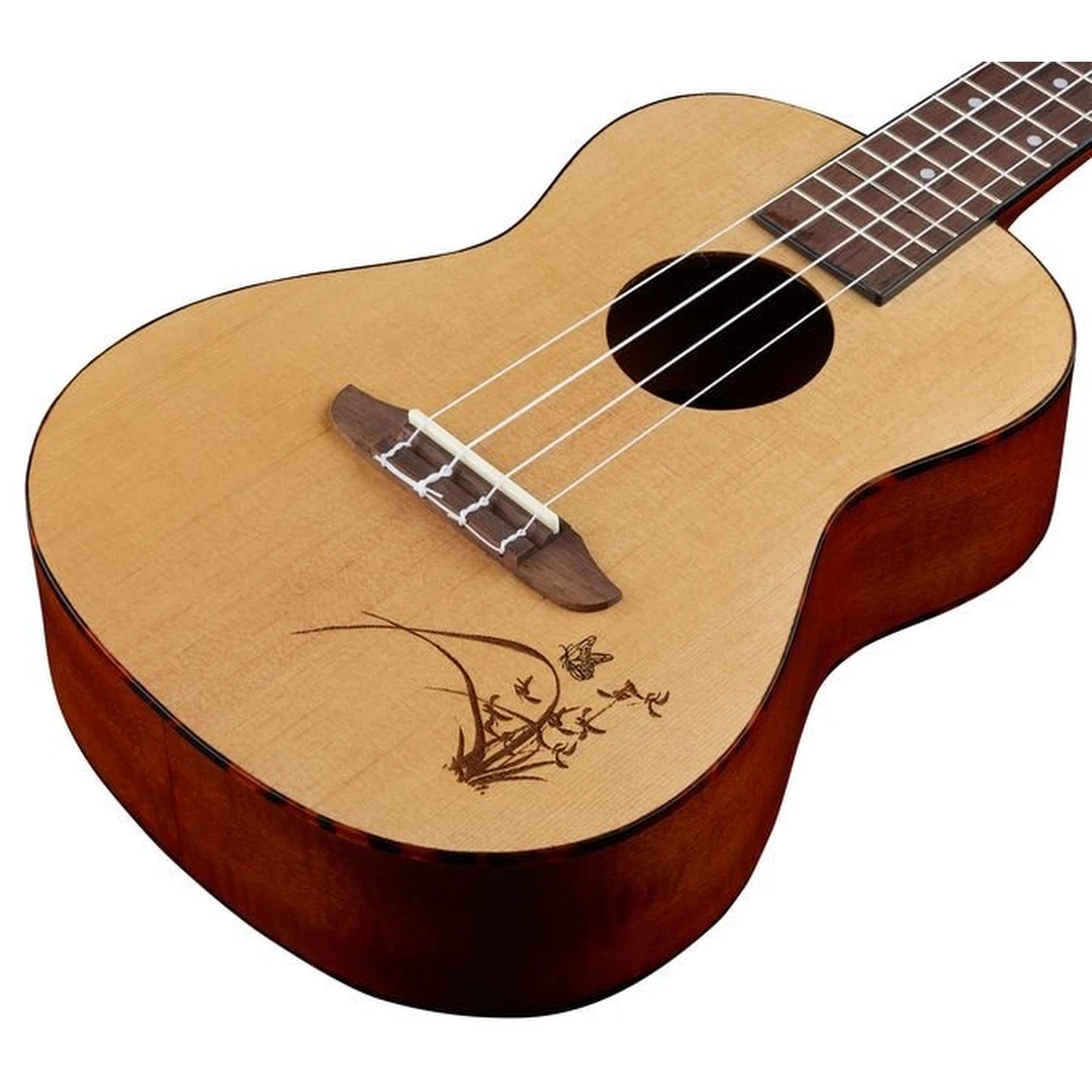 Укулеле Ortega RU5