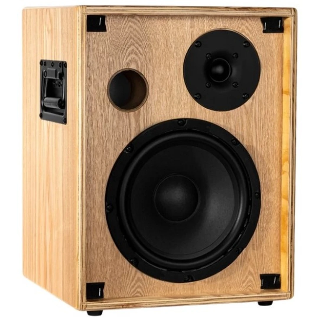 Комбоусилитель Ortega CONE-ASH C One