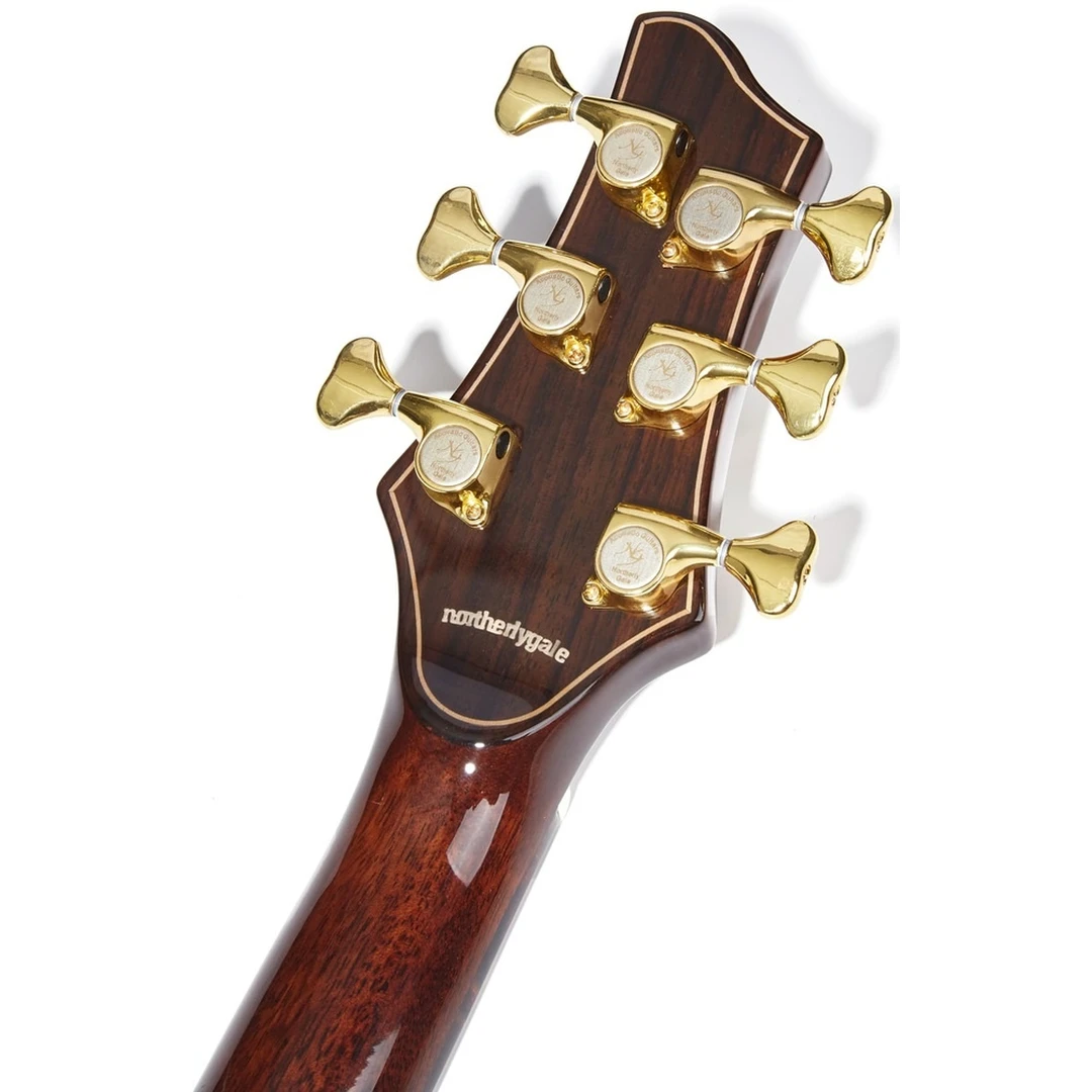 Акустическая гитара NG DM411SC BR