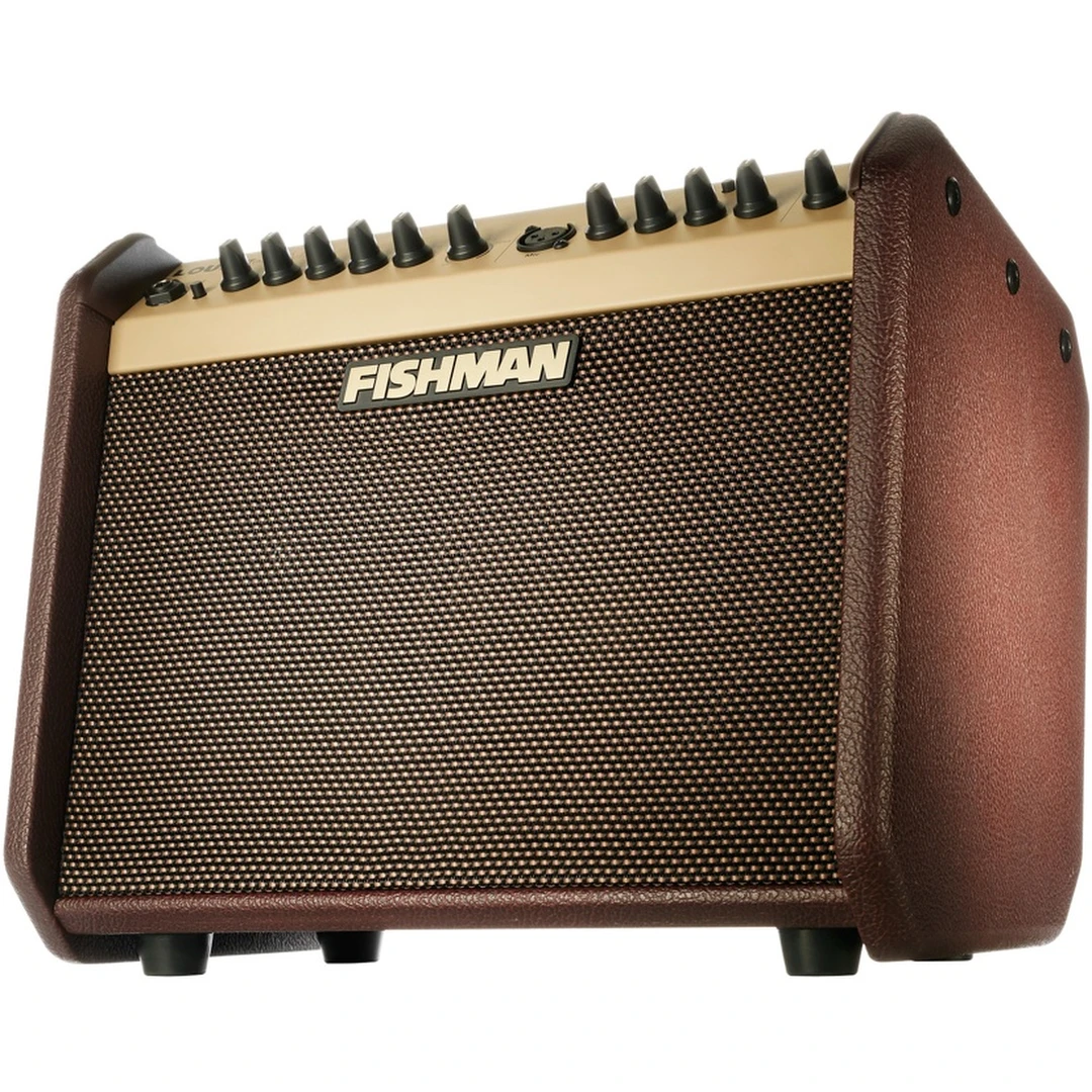 Комбоусилитель Fishman PRO-LBT-EU5 Loudbox Mini