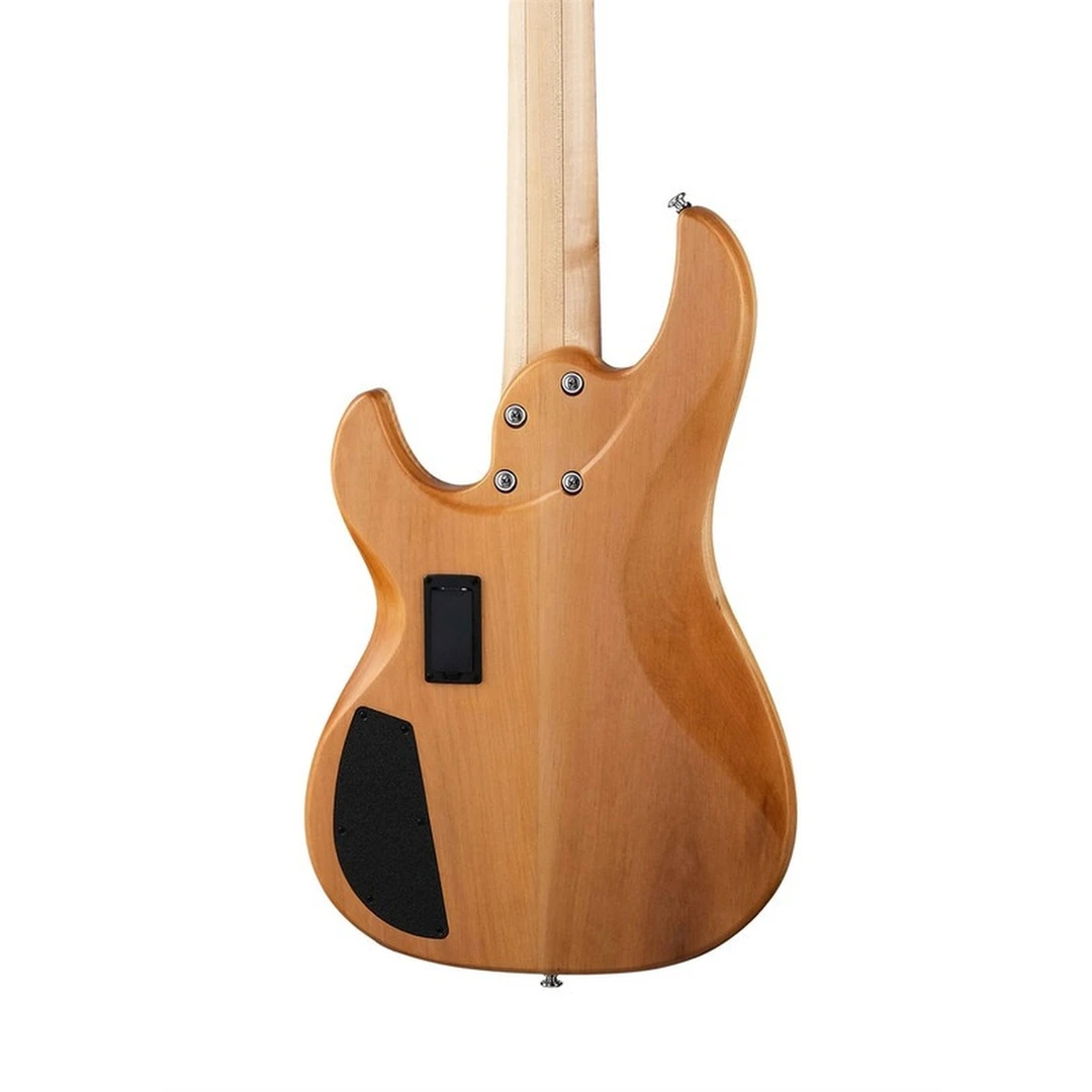 Бас-гитара Inspector Basstion