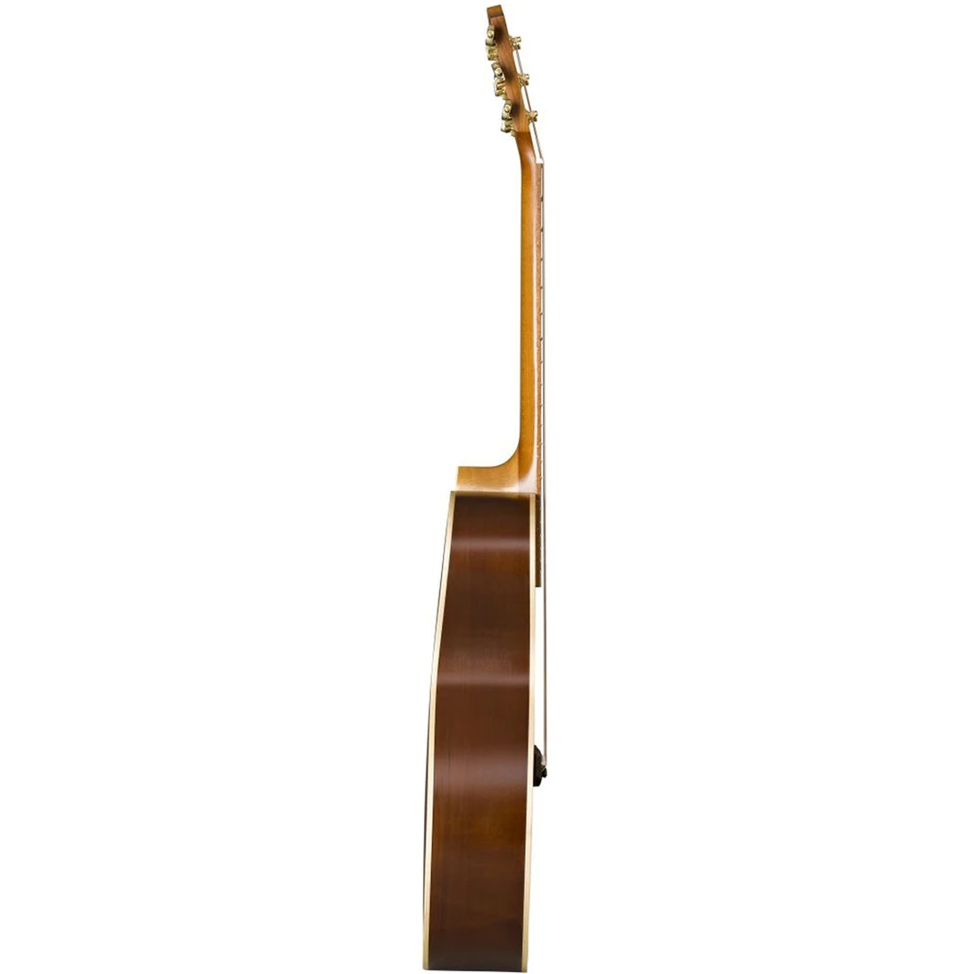 Акустическая гитара Baton Rouge TLW/A Wild Service Tree