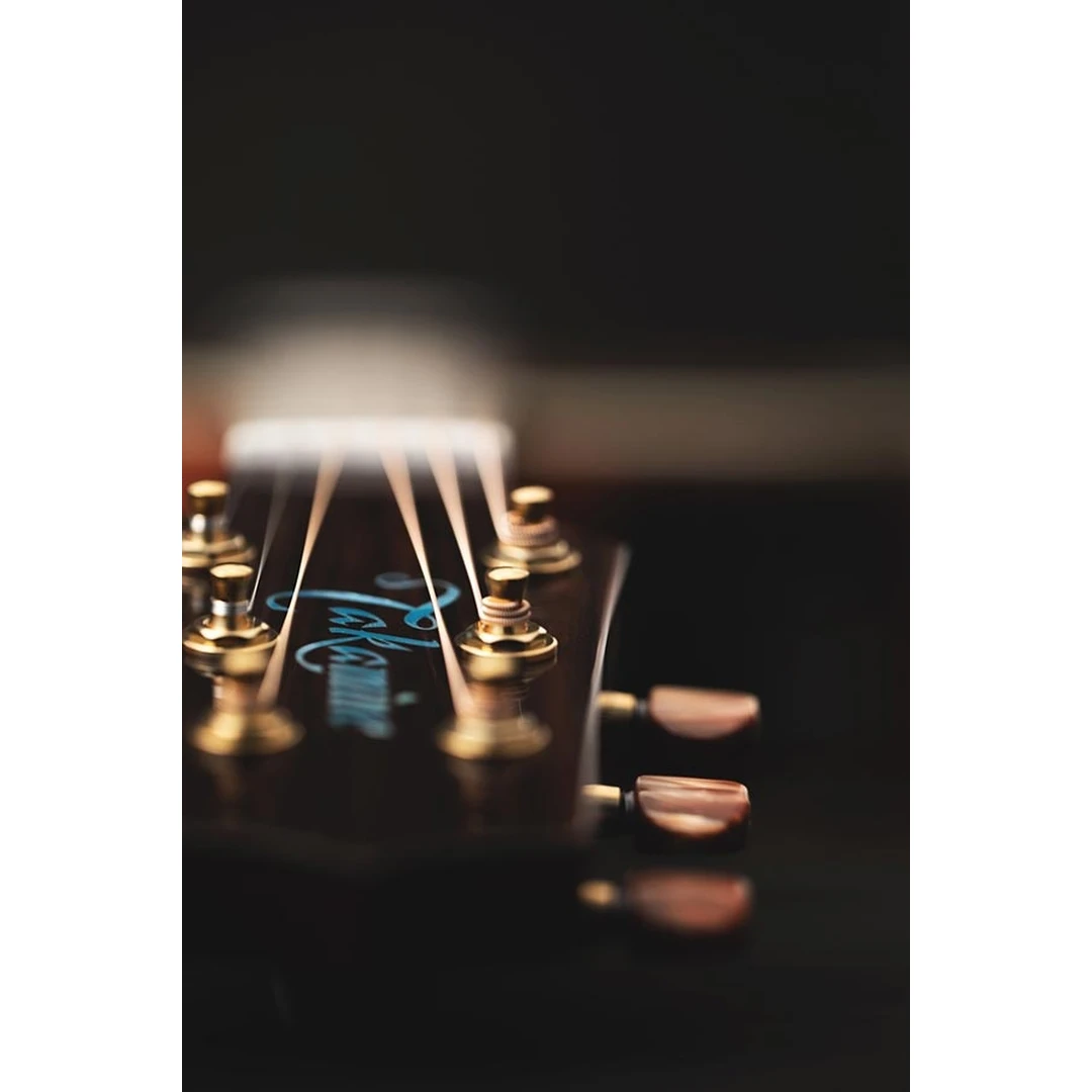 Электроакустическая гитара Takamine LTD2023