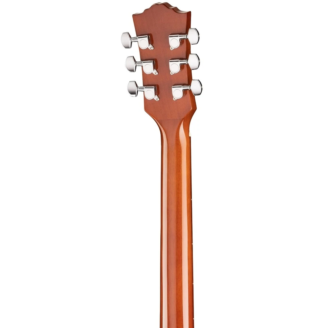 Акустическая гитара Ramis RA-G01C