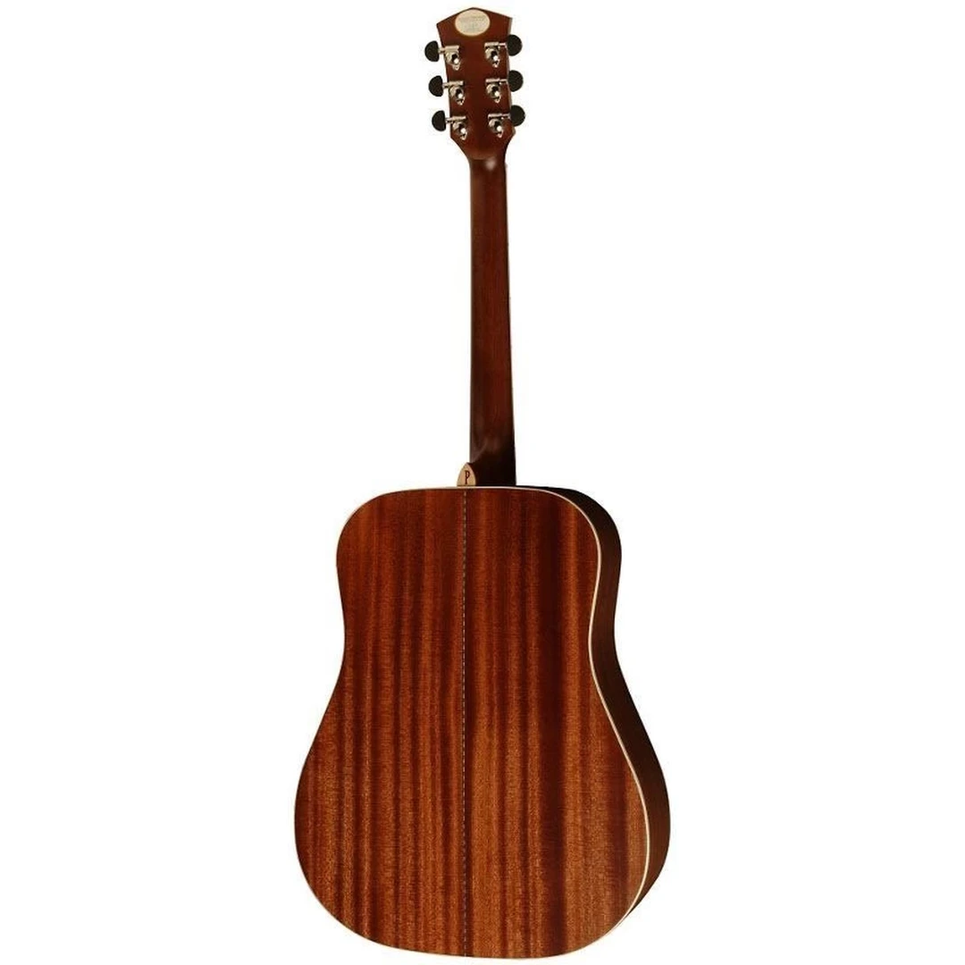 Акустическая гитара Cort PW 310M w/bag NS