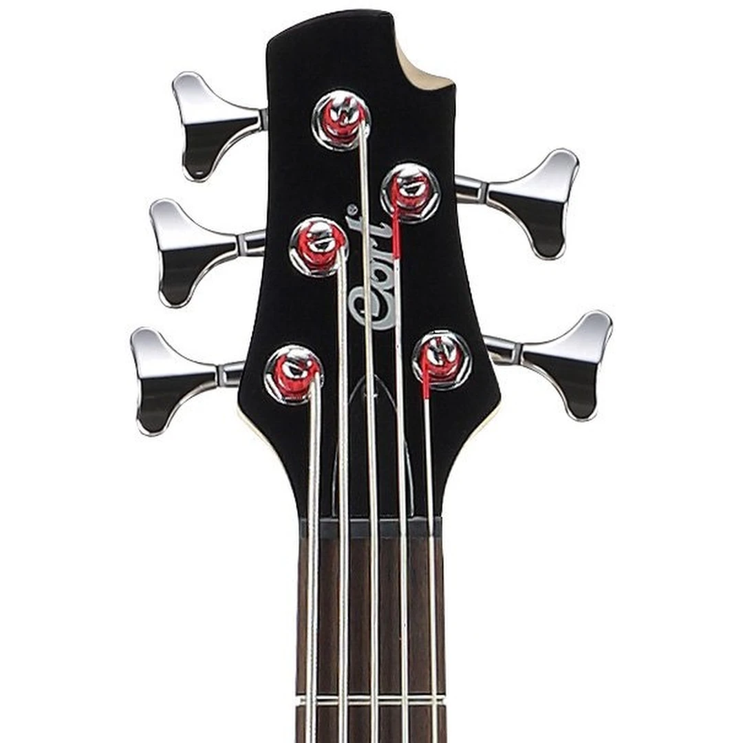 Бас-гитара Cort Action Bass V Plus BK