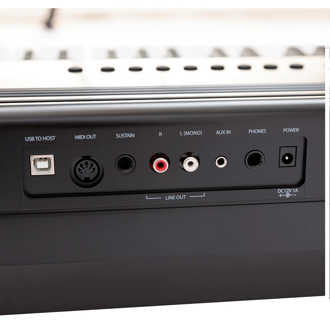 Цифровое пианино Rockdale RDP-4088 Elegy Black