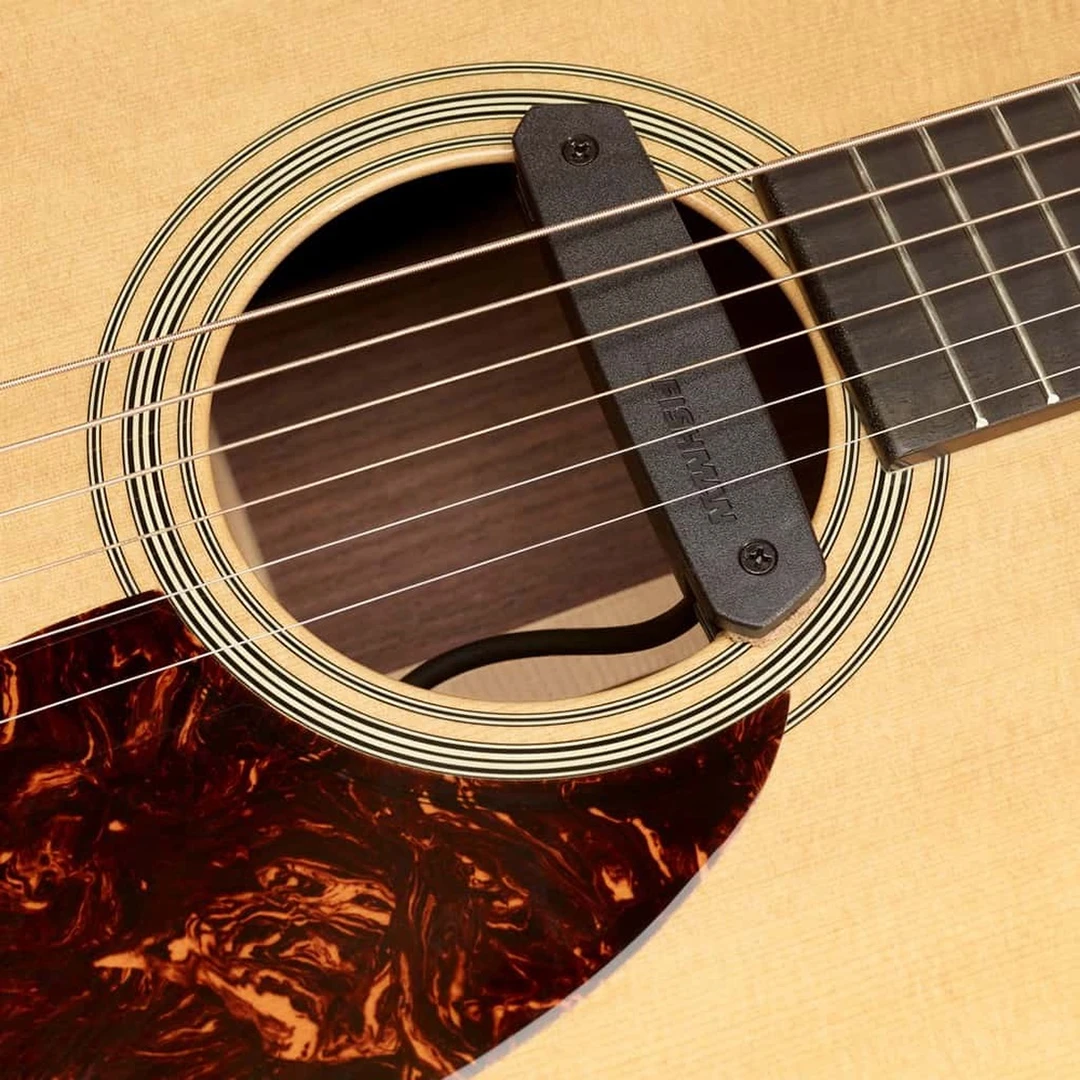 Звукосниматель Fishman PRO-NEO-D01 Neo-D