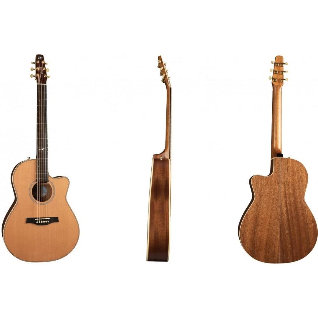 Акустическая гитара Seagull Artist Mosaic CW Folk Element DLX TRIC