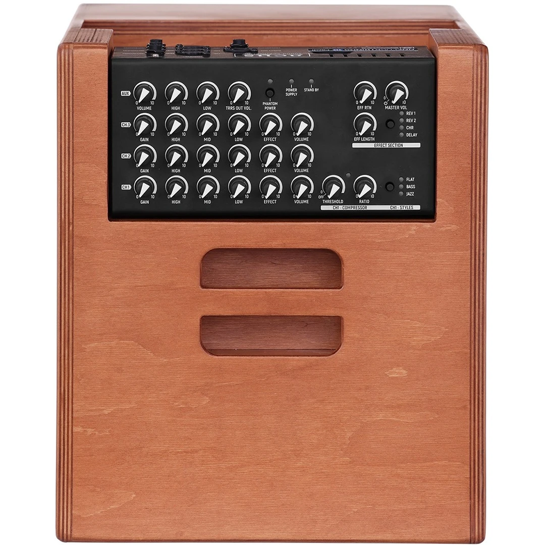 Комбоусилитель Acus One ForStrings 10 Ferdi Cherrywood