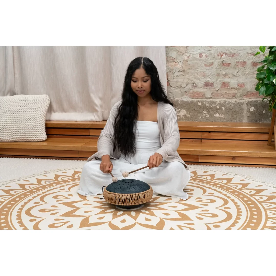 Глюкофон Meinl Sonic Energy Mini Steel Tongue Drum MOSTD2NB