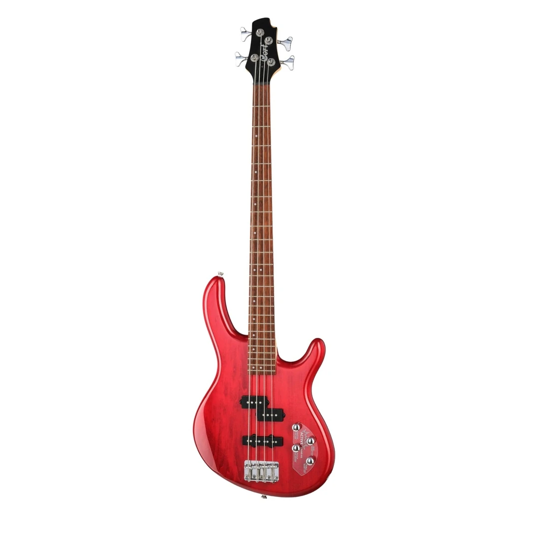 Бас-гитара Cort Action Bass Plus TR WBAG