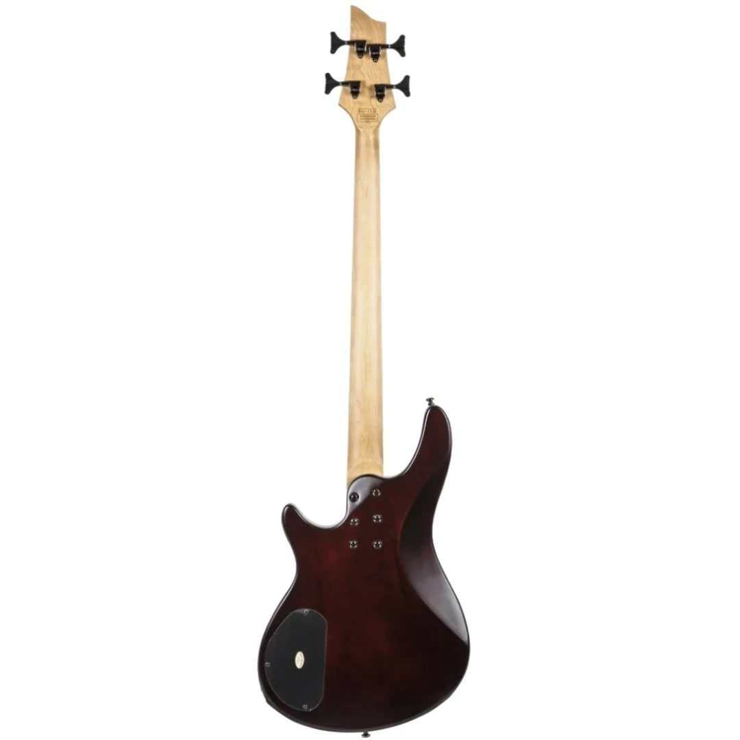 Бас-гитара Schecter SGR C-4 Bass WSN