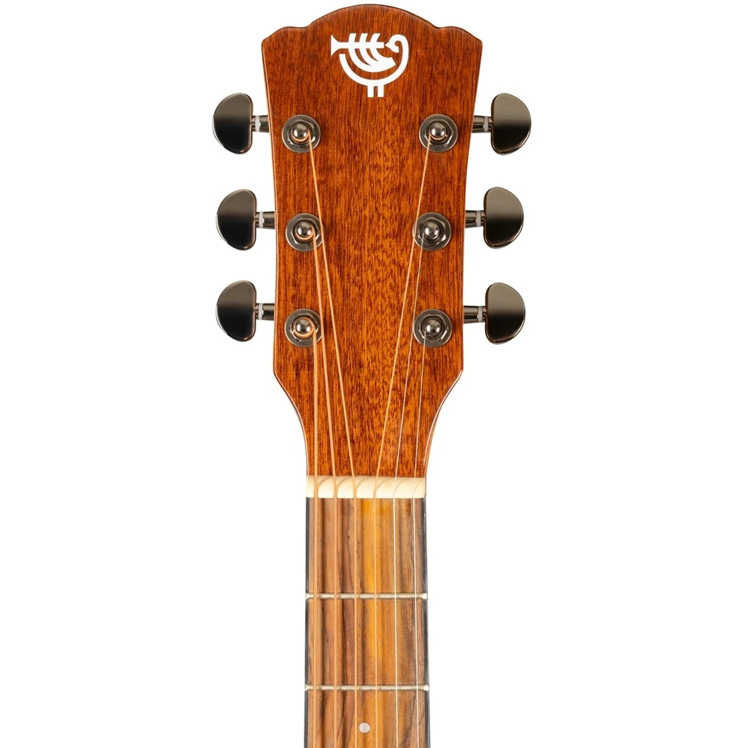 Акустическая гитара Rockdale Aurora D6 ALL-MAH Gloss