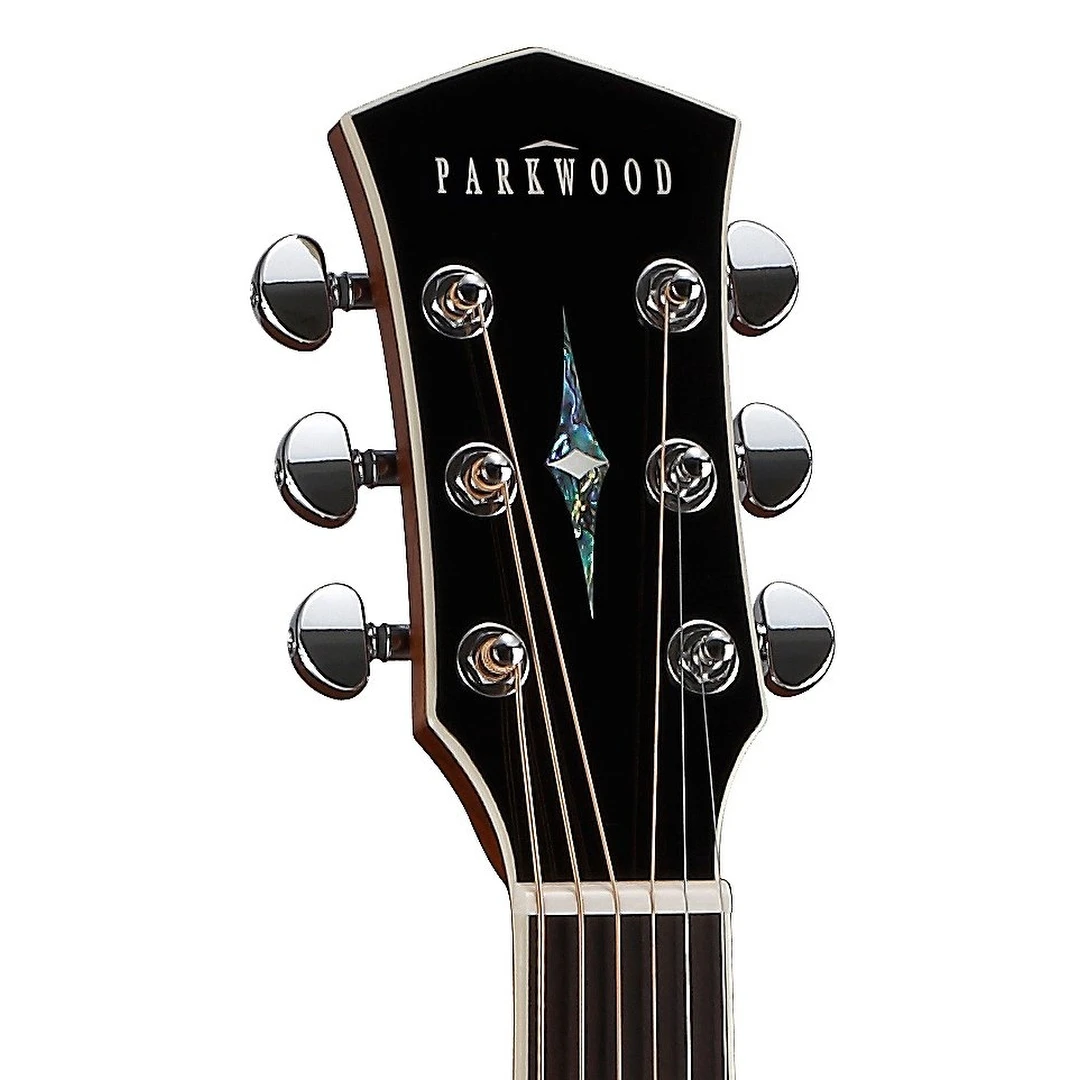 Акустическая гитара Parkwood P610