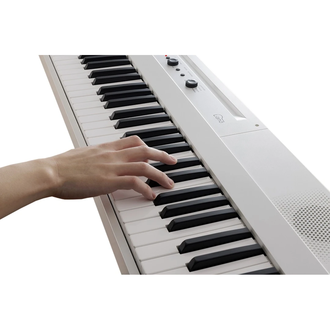 Цифровое пианино Korg L1 PW