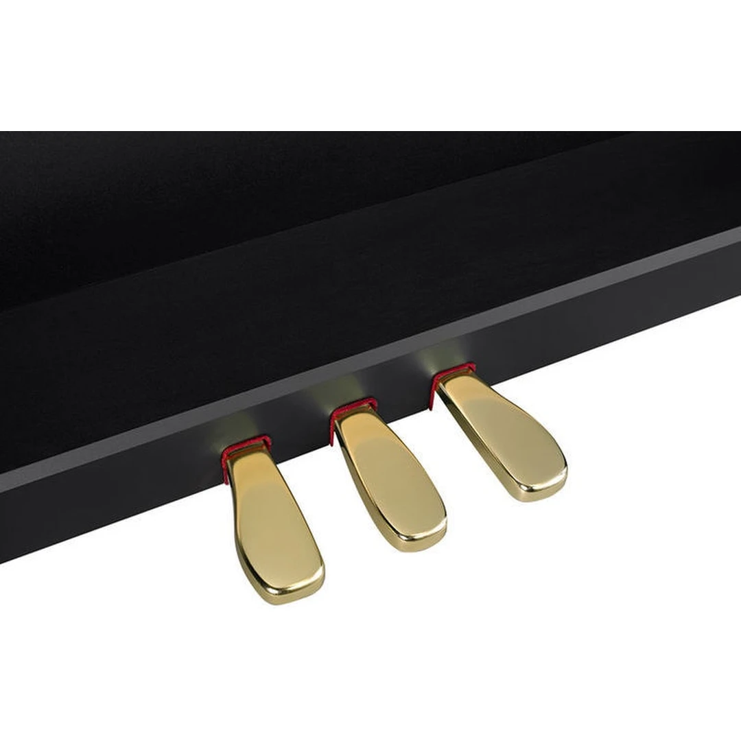 Цифровое пианино Casio Celviano GP-310BK