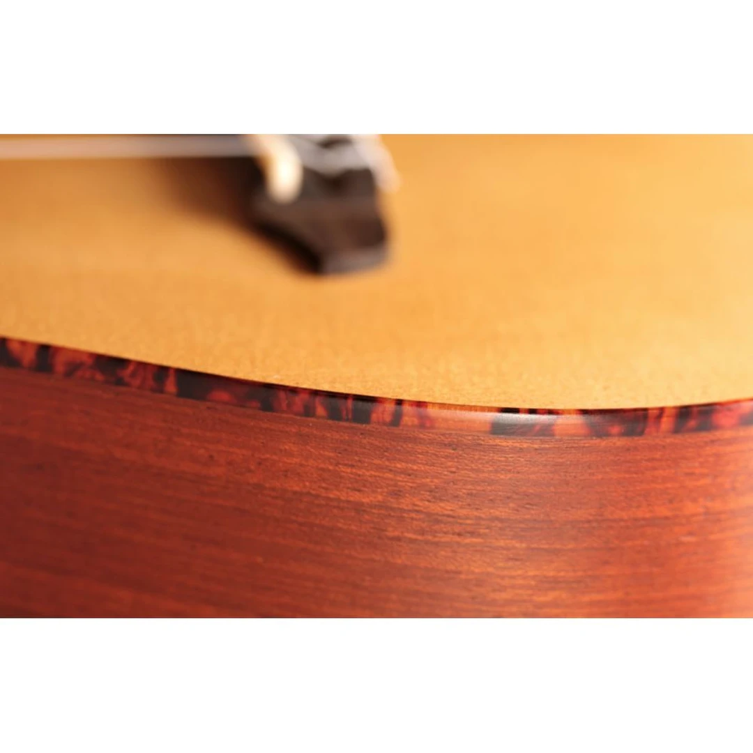 Укулеле Ortega RU5