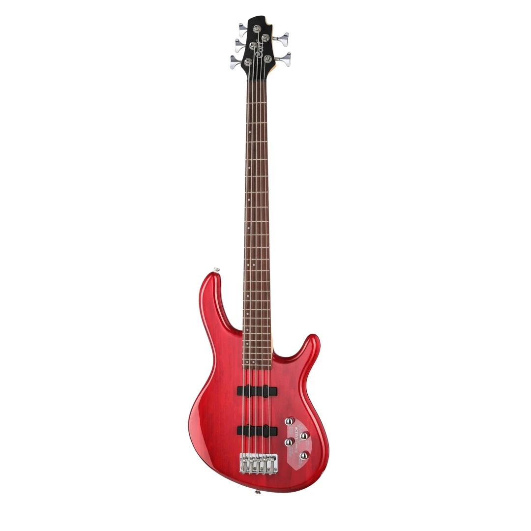 Бас-гитара Cort Action Bass V Plus TR WBAG