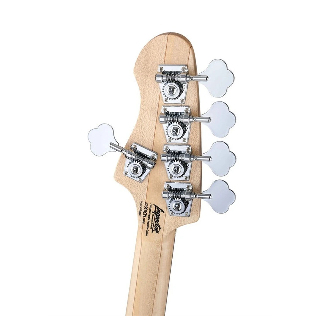 Бас-гитара Inspector Basstion