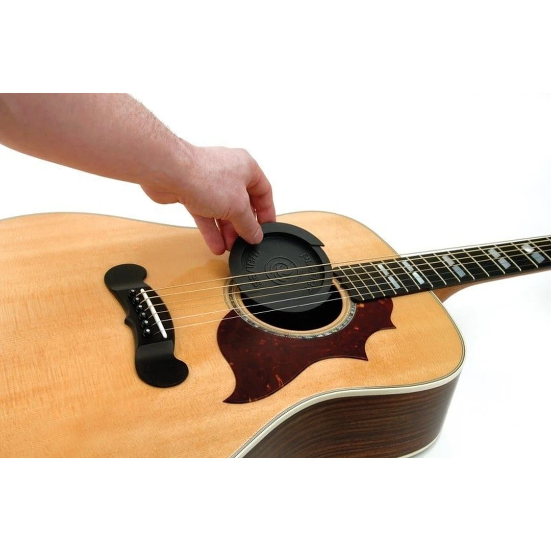 Заглушка для гитары Planet Waves PW-SH-01