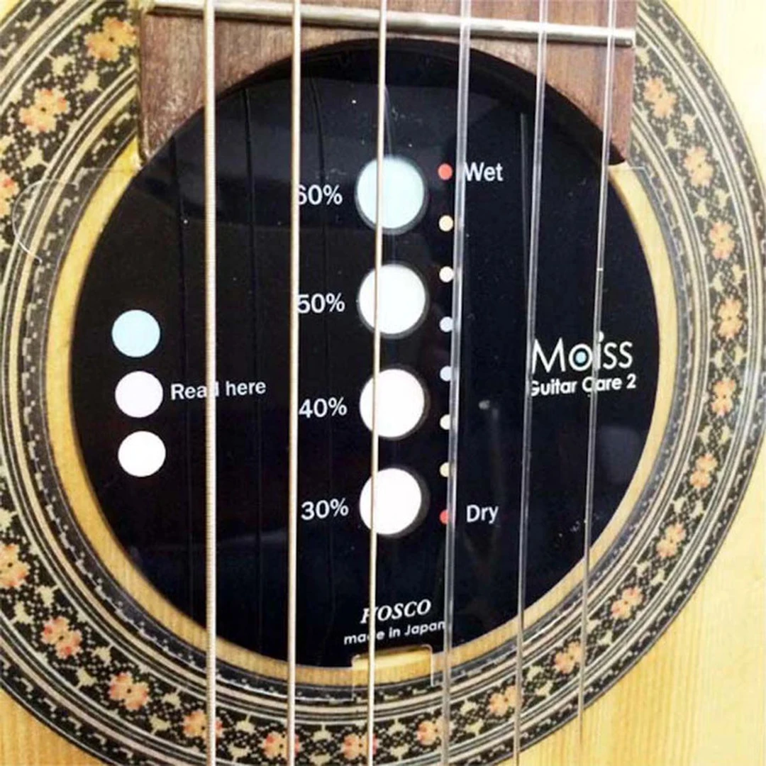 Гигрометр Hosco MOISS2-GC2