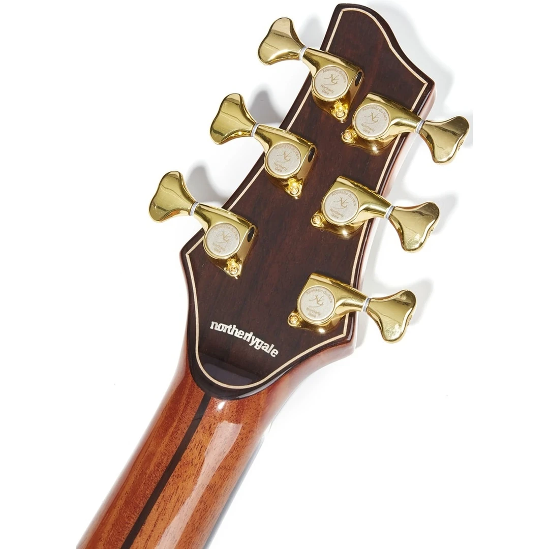 Акустическая гитара NG DM411SC NA