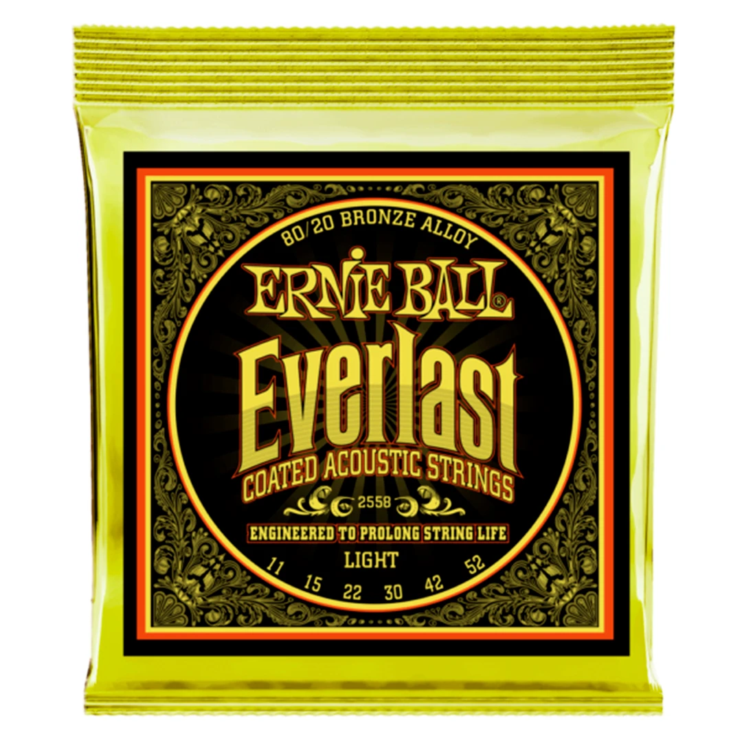 Струны для акустической гитары Ernie Ball 2554 Everlast 80/20 Bronze 13-56