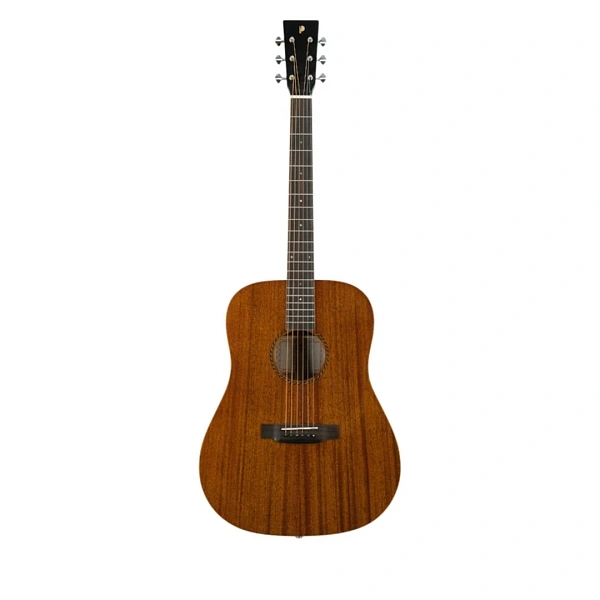 Акустическая гитара Prodipe SD250