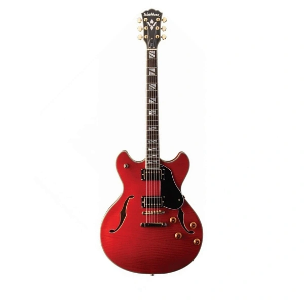 Полуакустическая гитара Washburn HB35WRK