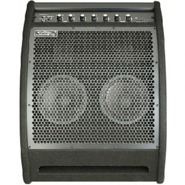 Монитор для электронной ударной установки Soundking DS200