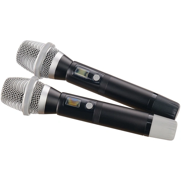 Радиосистема LAudio LS-Q10-2M