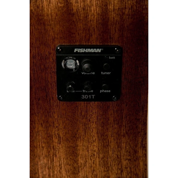 12-струнная электроакустическая гитара Washburn WD10SCE12