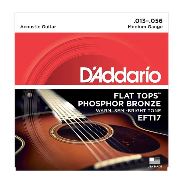 Струны для акустической гитары D'Addario EFT17 13-56