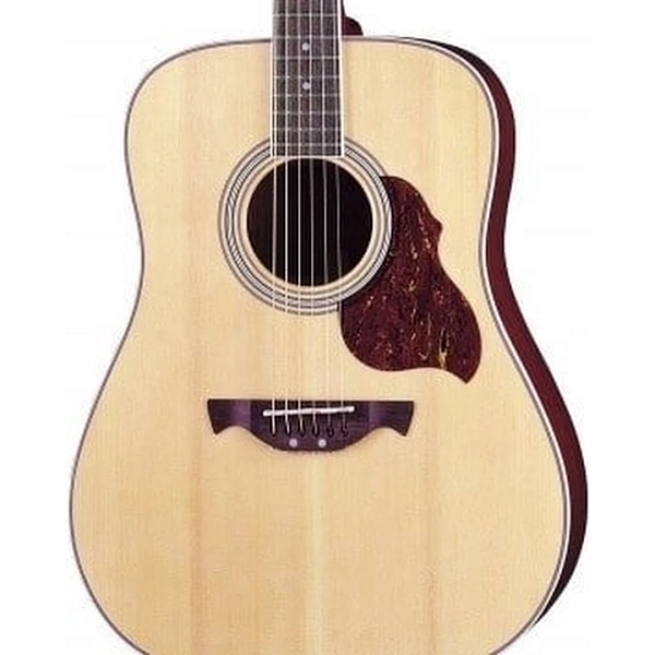 Акустическая гитара Crafter D-6/N